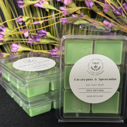 Eucalyptus & Spearmint Soy Wax Melt Pack