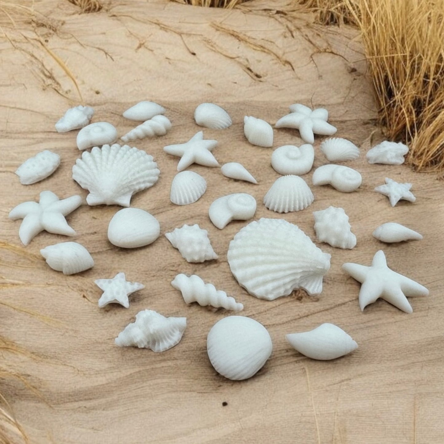 White Seashells Soy Wax Melt Shapes Bundle