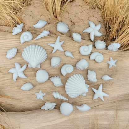 White Seashells Soy Wax Melt Shapes Bundle